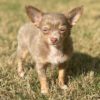 504702153_hd Buddy