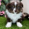504768229_hd Rosie