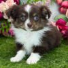 504807049_hd Rosie