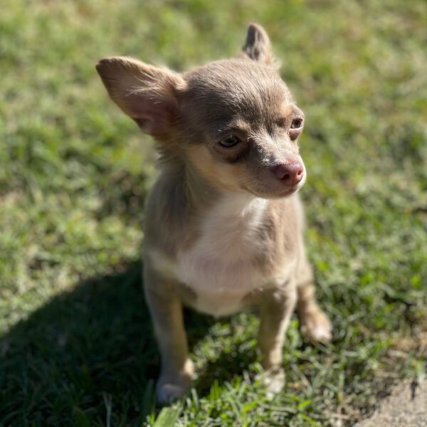 504821086_hd Buddy