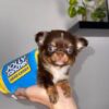 Milo