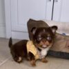 Milo